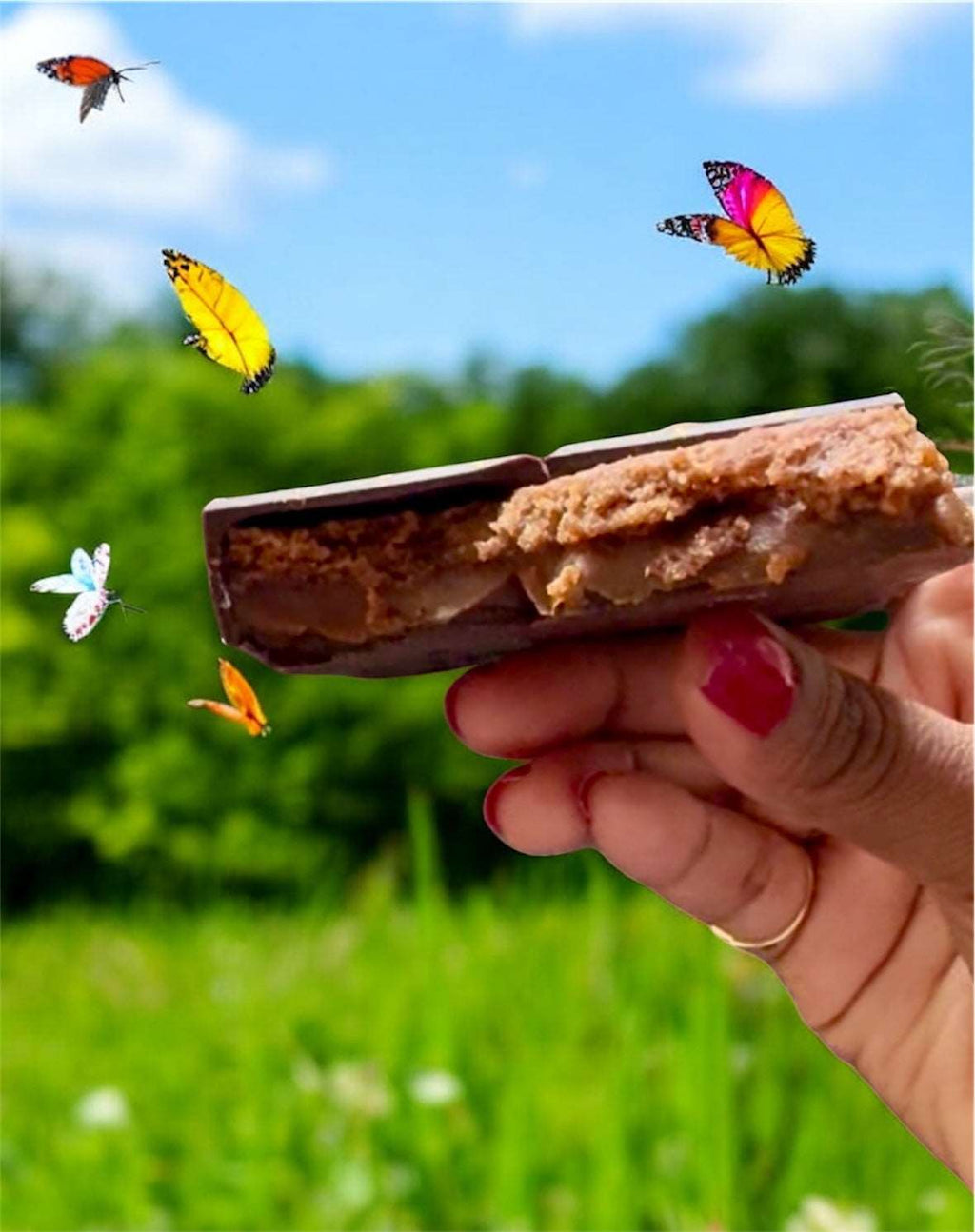 Alfajor Chocolate – Dark Chocolate Shortbread and Dulce de Leche - Sweets n Beyond